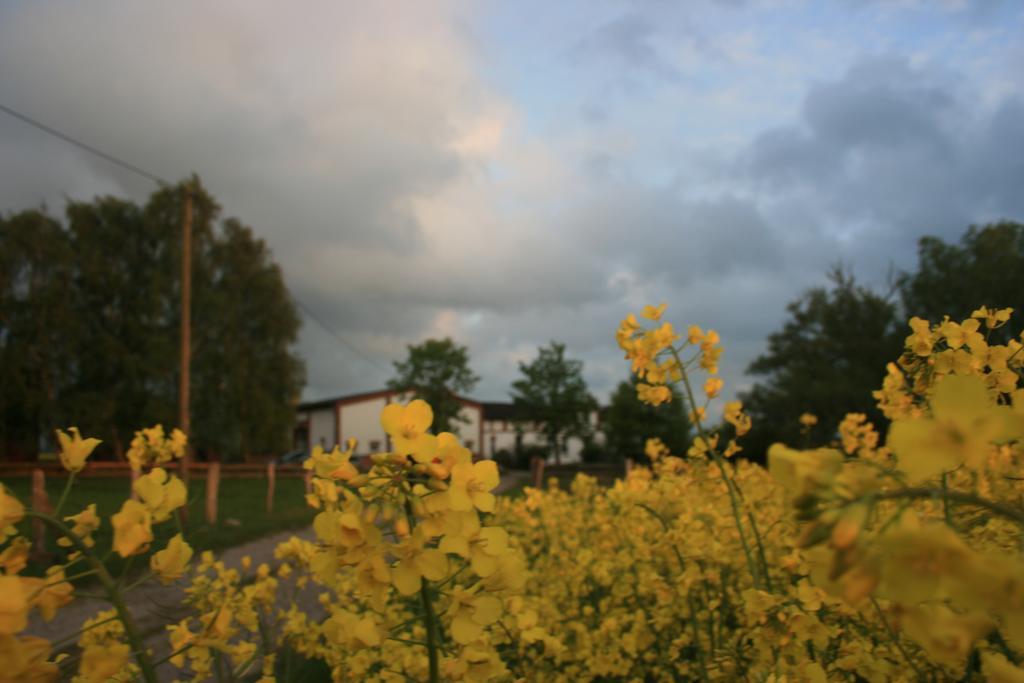 Ostseestuev